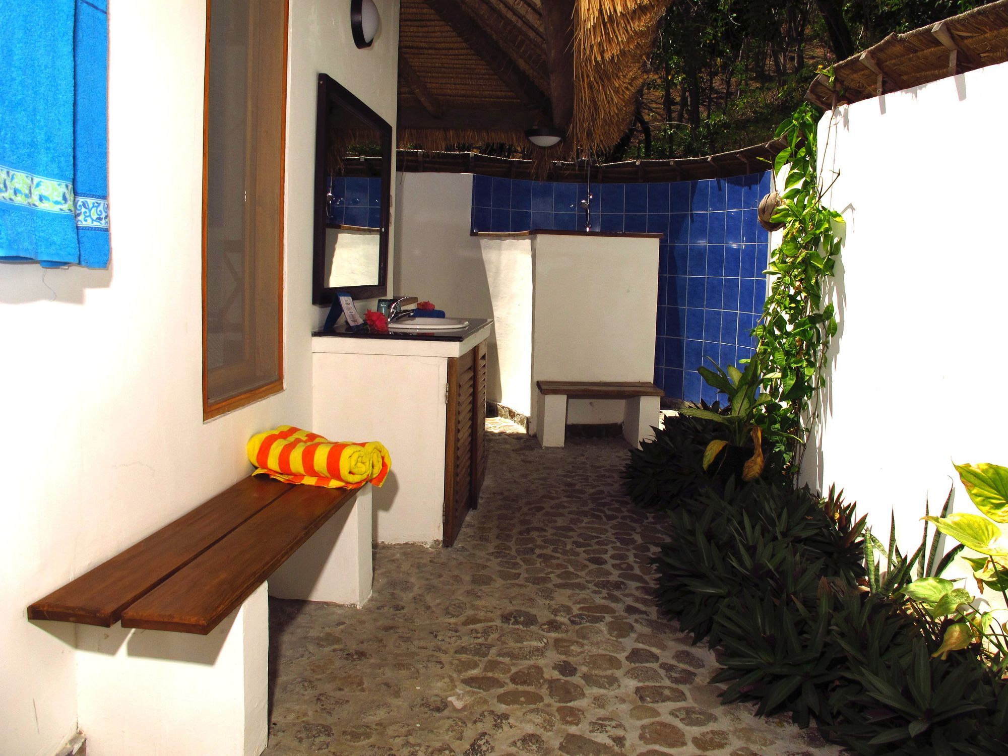 Hotel Coconut 2*