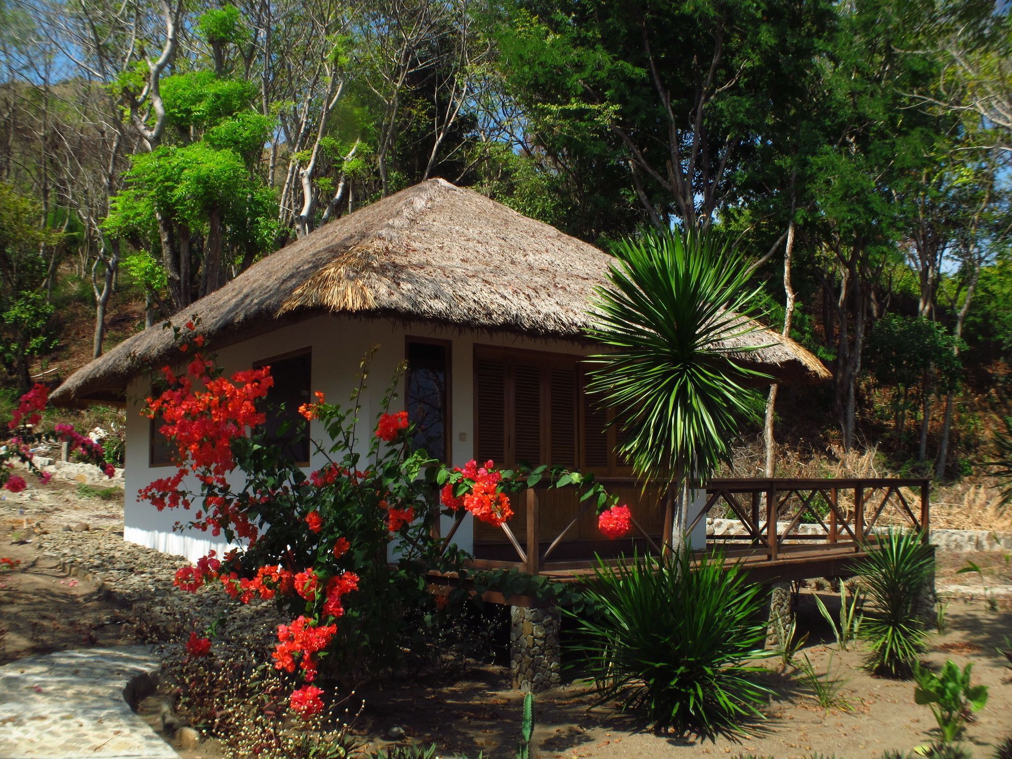 Coconut Hotel 2*