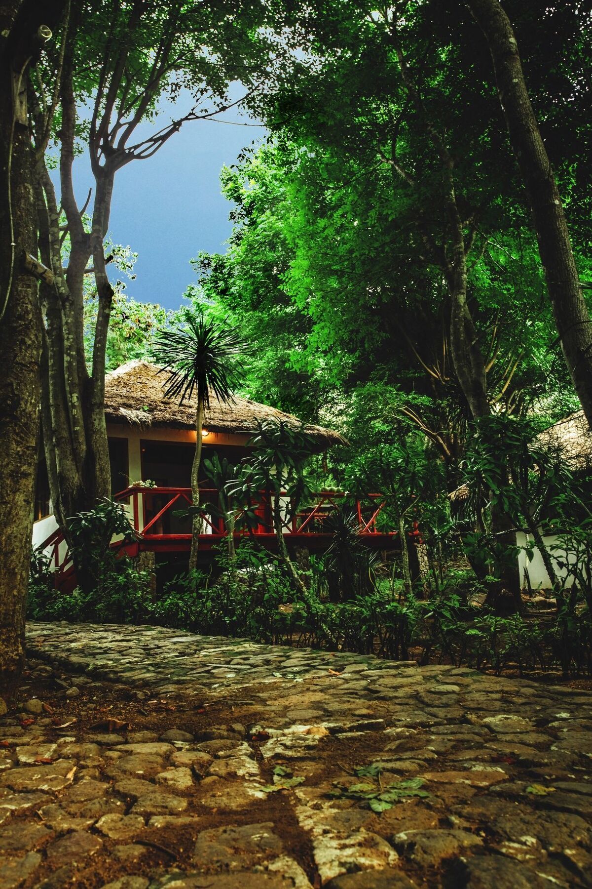 Coconut Hotel Labuan Bajo