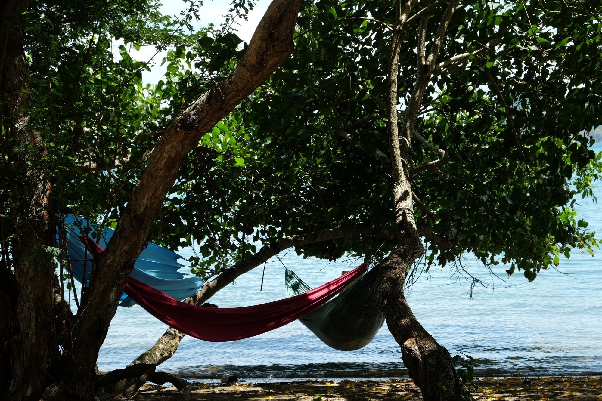 Coconut Hotel Labuan Bajo
