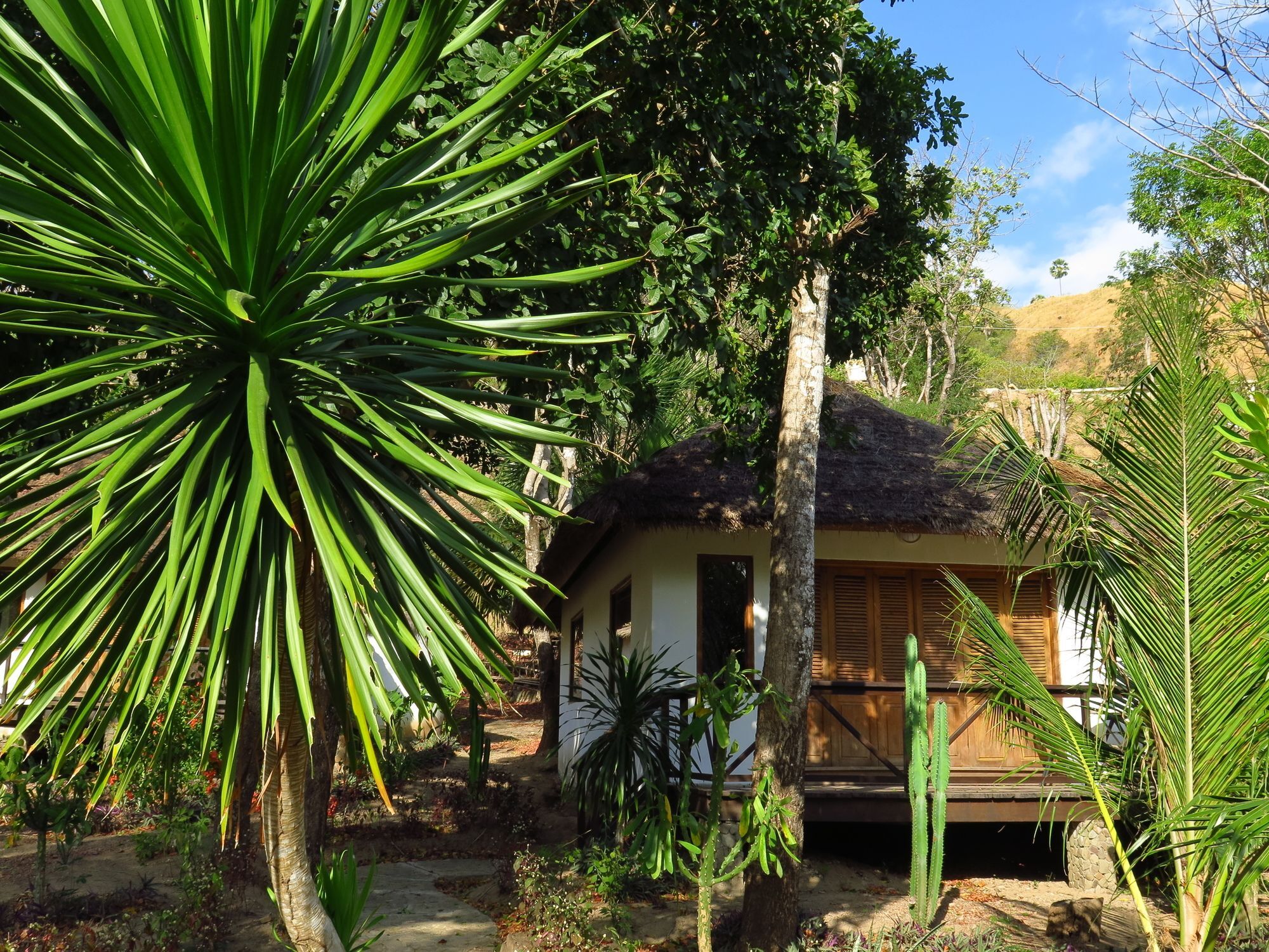 Coconut Hotel