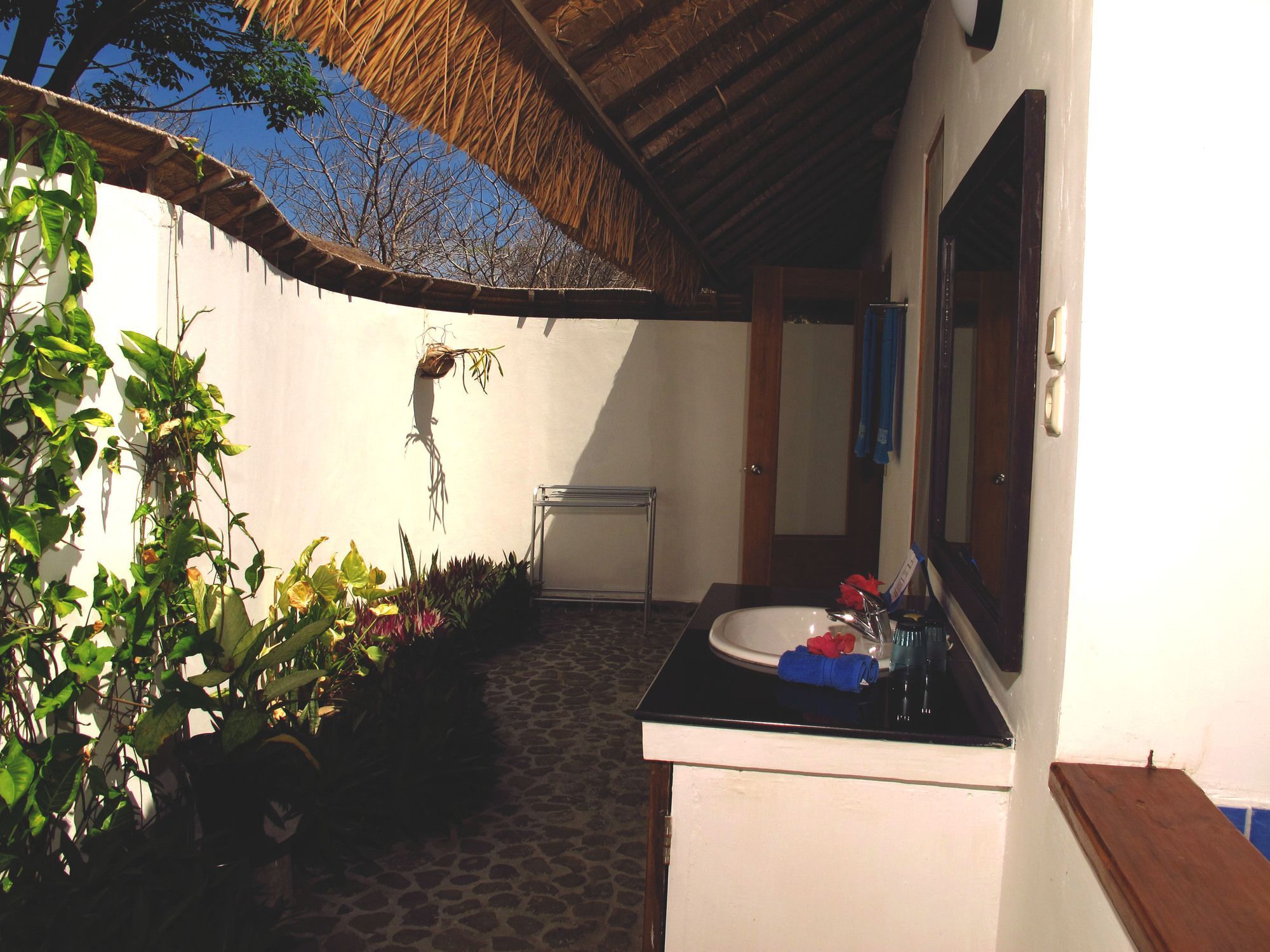 Hotel Coconut 2*