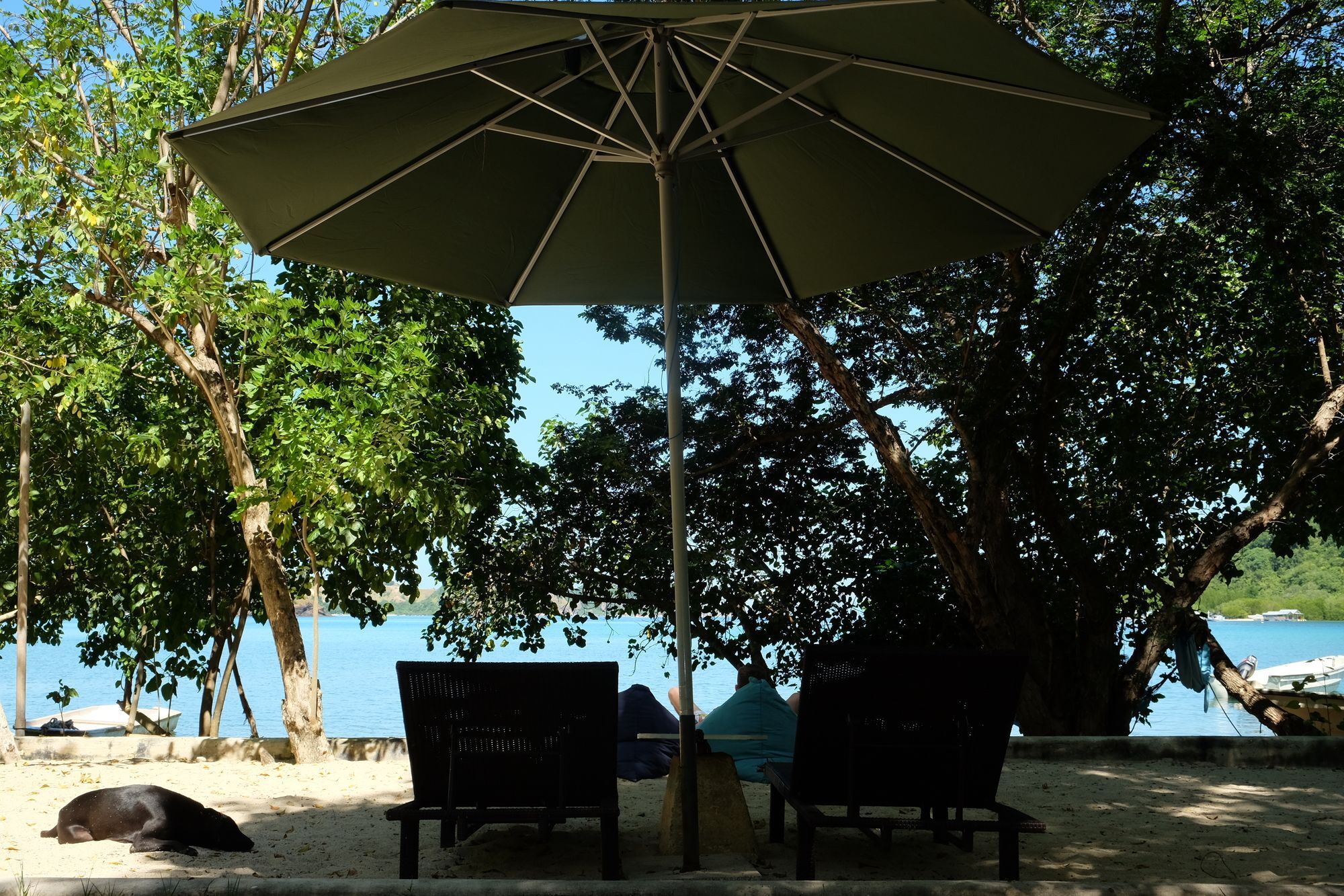 Coconut Hotel